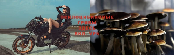 соль курить ск Алексин