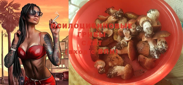 соль курить ск Алексин