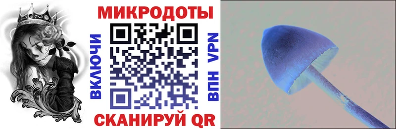 Галлюциногенные грибы Psilocybine cubensis  магазин    Слободской 